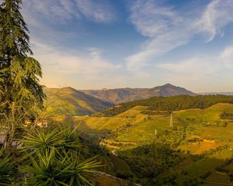 Quinta da Portela Douro - Armamar - Вигляд зовні