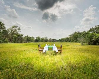 Explorer by Eco Team - Maduru Oya National Park - Dehiattekandiya - Patio
