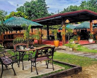 Mom Shie's Apartelle La Union - Caba - Patio