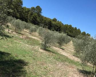 Azienda Agrituristica I Tre Casali - Magione