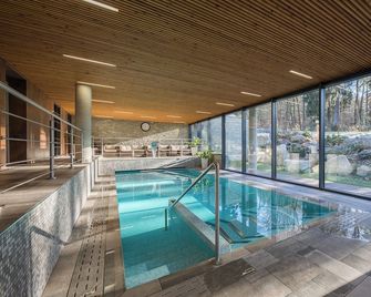 Wellness & Spa Hotel Villa Regenhart - Jeseník - Zwembad