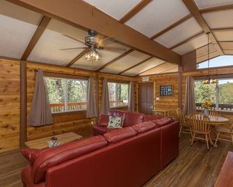 Midpines Cabin-private, peaceful mountain cabin- 30 miles to Yosemite entrance! - Mariposa - Living room