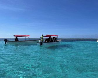 The View of Zanzibar - Michamvi