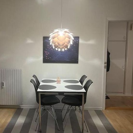 Stor og Lys Lejlighed i Hjertet af Holstebro – Holstebro