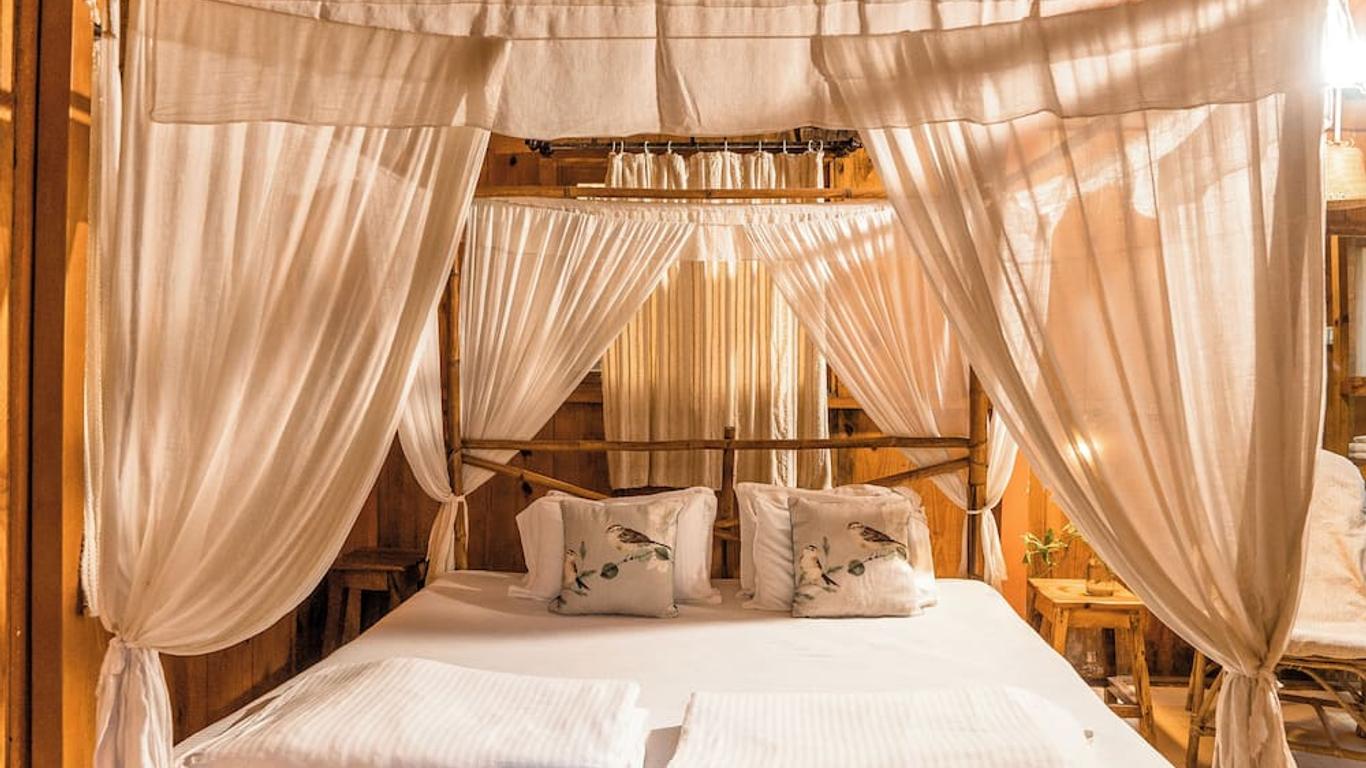 جامبوري كريك يوجا