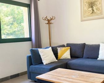 Maison Avec Piscine et Jardin Clos Dans Domaine Oléicole. Animaux Acceptés ! - Cadenet - Sala de estar
