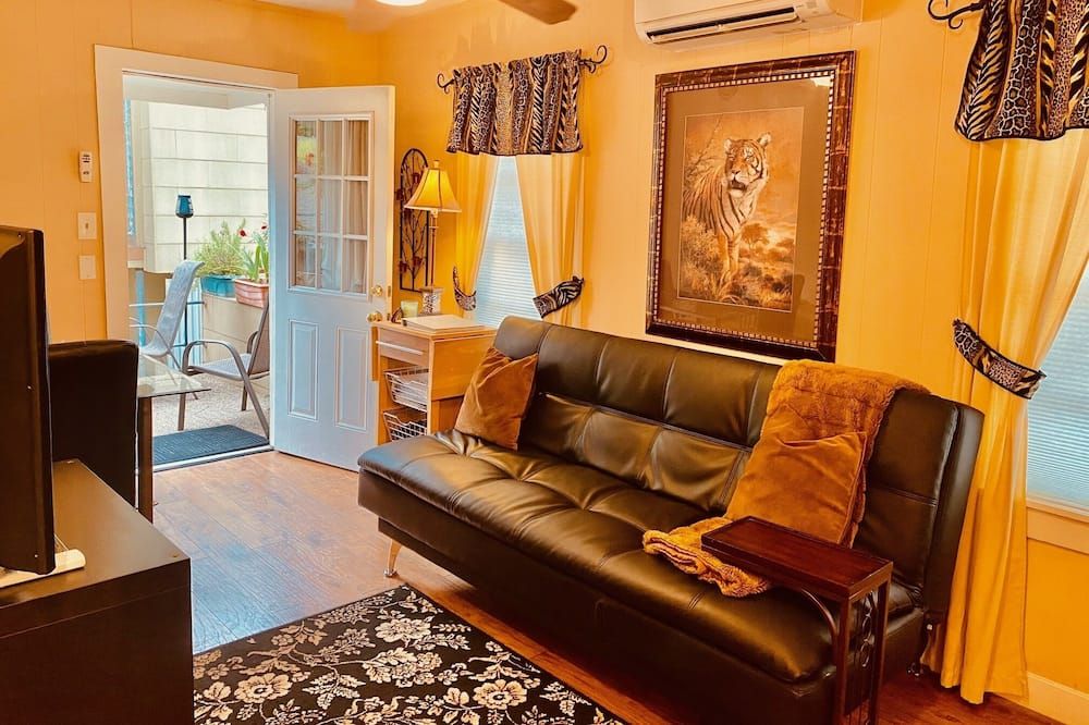 Adorable Apartment in Montrose - יוסטון - סלון