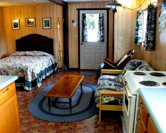Secluded Cabin Rental near Mount Rainier National Park in Washington - Ashford - Slaapkamer