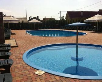 Hotel Denis - Şighişoara - Piscina