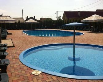 Hotel Denis Str Garii Nr 72 - Şighişoara - Pileta