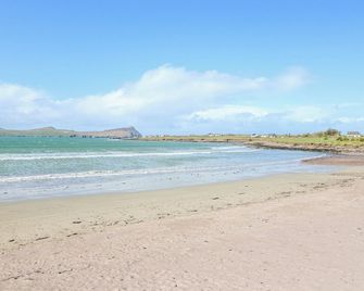 The Sleepy Shell - Ballydavid - Beach