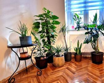 Charming 1-bedroom apartment in beautiful Zagreb, down town with WiFi, AC - Zagreb