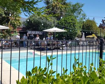 Amble Inn Motel - Masterton - Pool