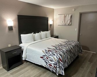 Red Roof Inn Panama City Beach - Panama City Beach - Bedroom