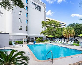 SpringHill Suites by Marriott Houston Medical Center/NRG Park - Houston - Piscina