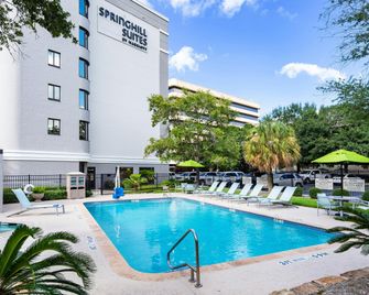 SpringHill Suites by Marriott Houston Medical Center/NRG Park - יוסטון - בריכה
