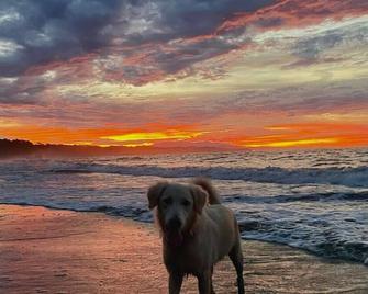 Poolside, 2BR Home, Walk to Beach and Dining - Manzanillo