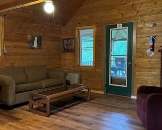 Riverside Cabin in The Forks - The Forks - Living room