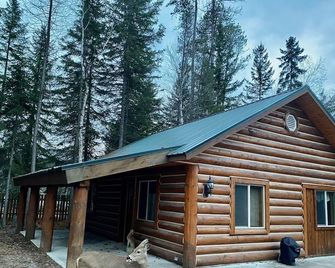 Quaint cabin in the woods - Bigfork - Building