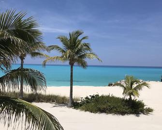 Bimini Cove Resort And Marina, Located At South Bimini, Bahamas. - Port Royal - חוף