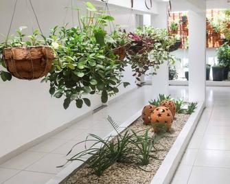 Hotel Encantos De Penedo Alagoas - Penedo