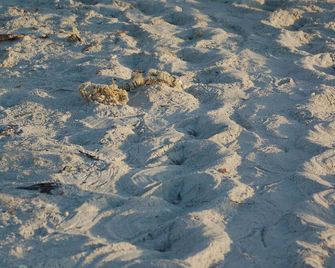 Sanibel Island Studio: Pool Access, Walk to Beach - Sanibel