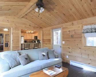 Newly Renovated Rustic Cabin - Tamworth - Living room