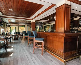 Hai Phong Harbour View Hotel - Haiphong - Bar