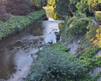 Adelin Vienna - Wien - Außenansicht
