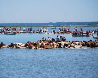 Surfers Villa - Chincoteague - Strand