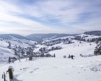 Hotel & Chalets Herrihof - Todtnau