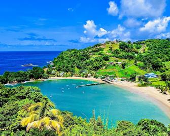 Chachalaca Villa | Eco Lovers Rain Forest Getaway - Charlotteville - Strand