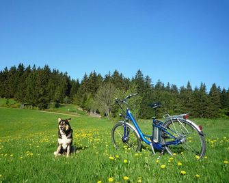 Höhengasthaus Kolmenhof An Der Donauquelle - Furtwangen