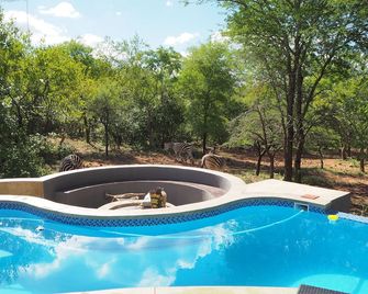 Pata Pata House - Marloth Park - Πισίνα