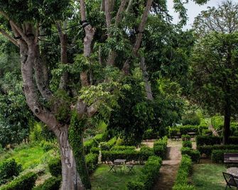 Wot Sintra Sarrazola - Sintra - Outdoor view