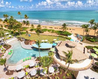 Puerto Rico Paradise Ocean Front Hotel W/ Golf & Casino - Rio Grande - Beach