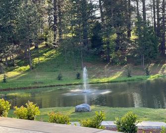 Romantic Getaway, Cabin in Apple Hill on 10 Acres with Private Pond - Camino