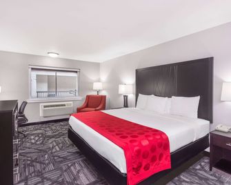 Ramada by Wyndham Tuscaloosa - טוסקלוסה - חדר שינה