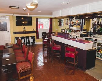 Private Pub on Ireland's Wild Atlantic Way and close to Killarney (sleeps 10) - Castlemaine - Bar