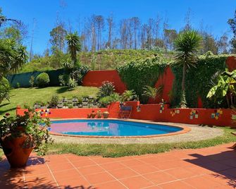 The Backyard House - Vale da Silva Villas up to 5 pax - Albergaria a Velha - Piscina
