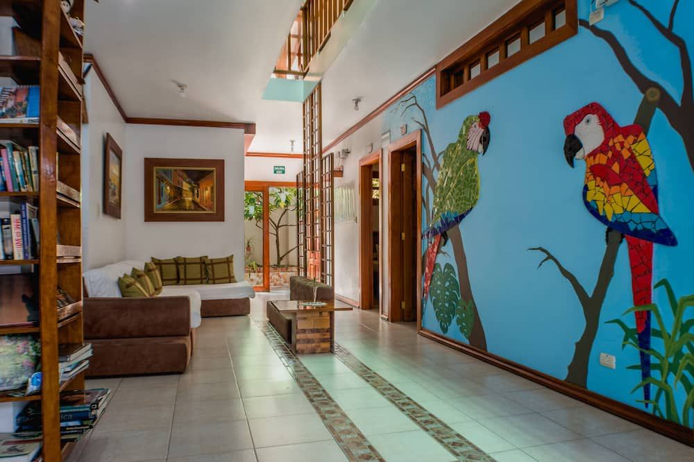 Hostal Macaw - גואיאקיל - לובי