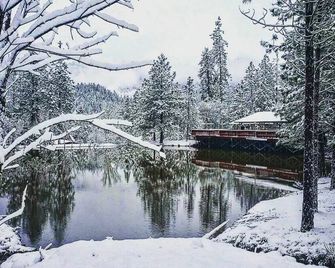 Creekside Mountain Retreat - Merlin - Outdoors view