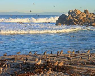 Victorian Penthouse right in the heart of downtown and close to the beach - Pacific Grove