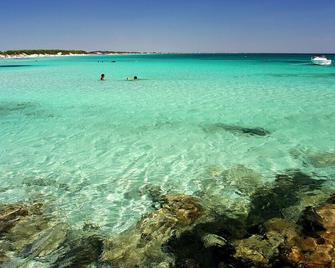 Punta Prosciutto Angel apartment to rent (100 mt away from the sea) - Punta Prosciutto - Spiaggia