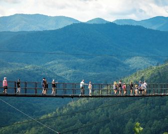 Bears Den - Gatlinburg