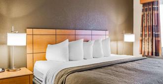 Quality Inn & Suites Des Moines Airport - Des Moines - Camera da letto