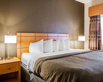 Quality Inn & Suites Des Moines Airport - Des Moines - Bedroom