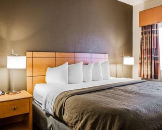Quality Inn & Suites Des Moines Airport - Des Moines - Soveværelse