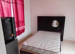 Single Private House In Pachuca - Pachuca - Bedroom