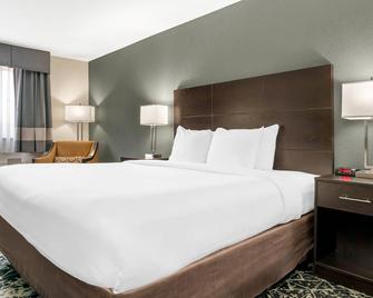 Quality Inn Grand Rapids South-Byron Center - Grand Rapids - Bedroom